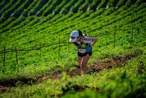 BIB: 
                            <button type="button" onclick="openModal(19161022)" class="btn btn-primary btn-sm float-right btn-popup" data-toggle="modal" data-target=".modal-high-quality">
                        <i class="fas fa-shopping-cart"></i> Add to Cart
                    </button>
                                            <button type="button" onclick="isThisMe(19161022, true)" class="btn btn-success btn-sm float-right btn-popup btn-isme hidden" data-toggle="tooltip" data-placement="bottom" title="นี่คือรูปของคุณใช่ไหม คลิกที่นี่เพื่อเอาเข้าอัลบั้ม">
                        <i class="fas fa-plus"></i> Add to album
                    </button>
                    <button type="button" onclick="isThisMe(19161022, false)" class="btn btn-warning btn-sm float-right btn-popup btn-isnotme hidden">
                        <i class="fas fa-ban"></i> Remove from album
                    </button>